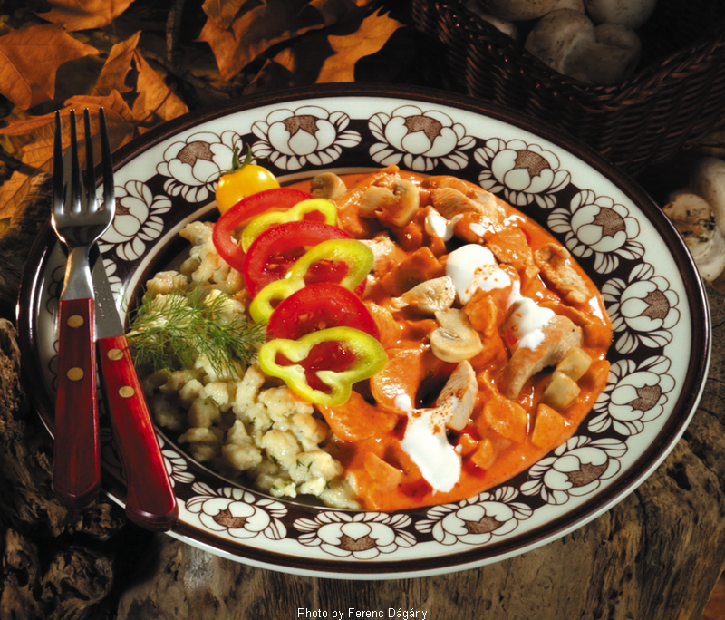 <!--:en-->Turkey Ragout as in Bakony with Cheese Dumplings  –  (Bakonyi pulykaragu túrós galuskával)<!--:-->