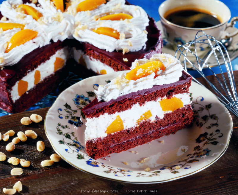 <!--:hu-->Barackos, csokoládés torta<!--:-->