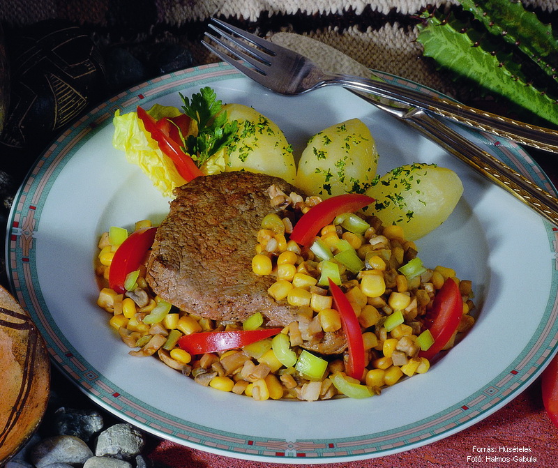 <!--:hu-->Hátszín azték módra<!--:-->