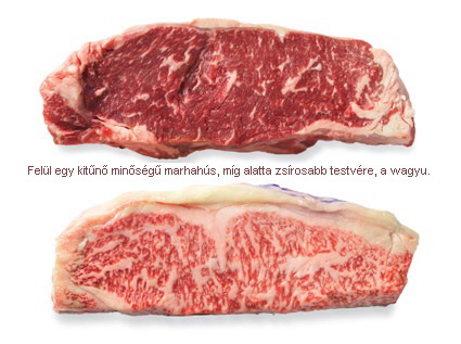 <!--:hu-->Wagyu  (ejtsd vádju)  marha<!--:-->