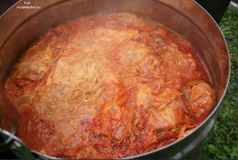 <!--:hu-->Busás töltött káposzta<!--:-->