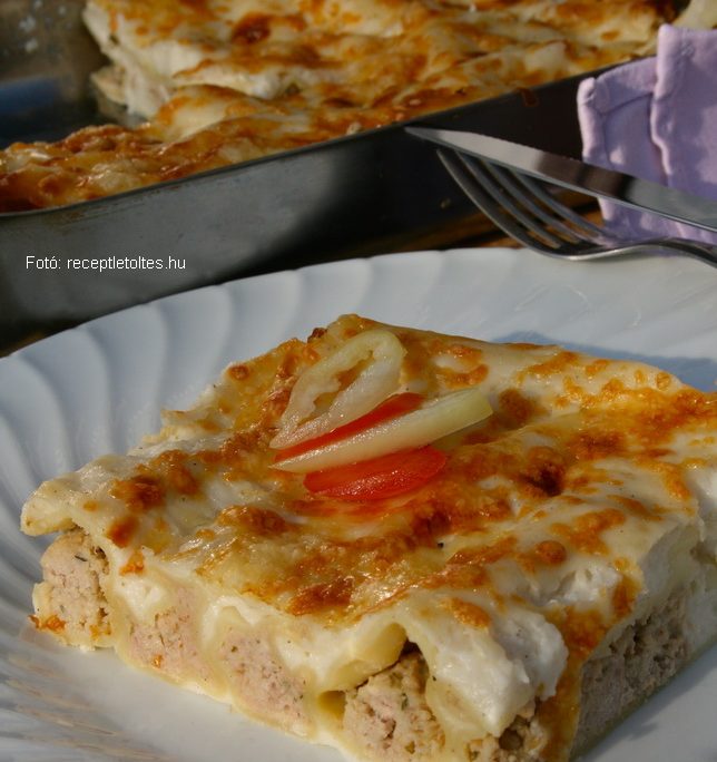 <!--:hu-->Cannelloni (klasszikus változat) – készült az OnLive© főzőiskola 41. adásában<!--:-->