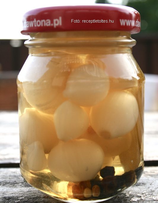 <!--:hu-->Ecetes gyöngyhagyma<!--:-->