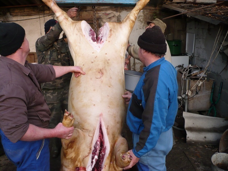 <!--:hu-->Ha tél, akkor disznóvágás <!--:-->