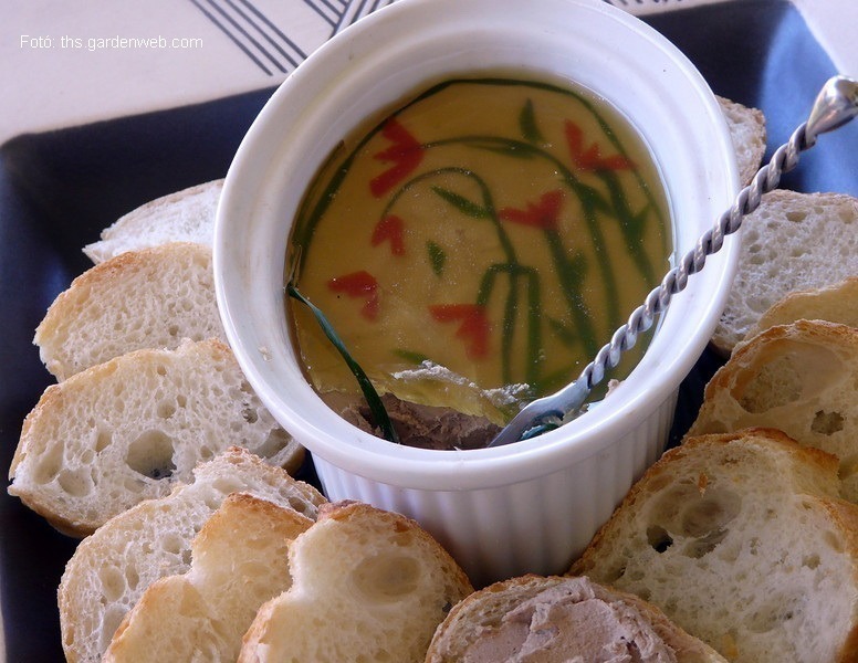 <!--:hu-->Julia Child konyakzselés csirkemájpástétoma  <!--:-->