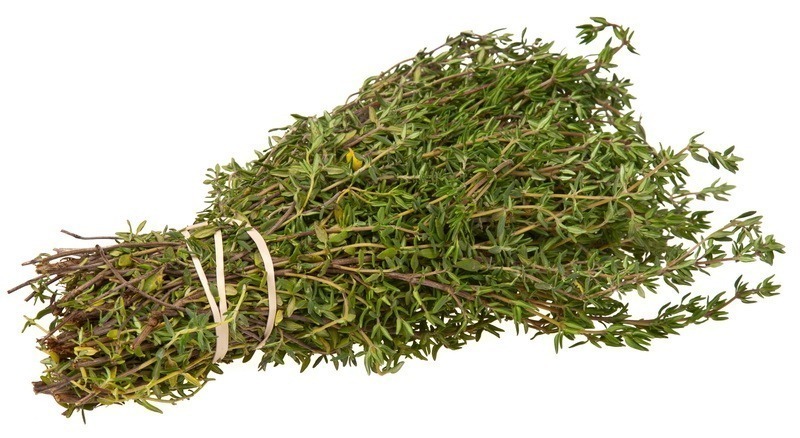 <!--:hu-->Kakukkfű (Thymus) <!--:-->