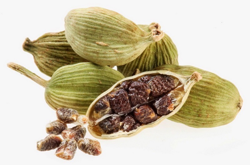 <!--:hu-->Kardamom (Elettaria cardamomum) <!--:-->