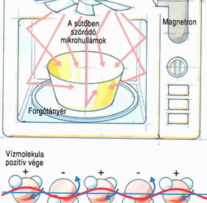 <!--:hu-->Mikrohullámú sütés-főzés<!--:-->