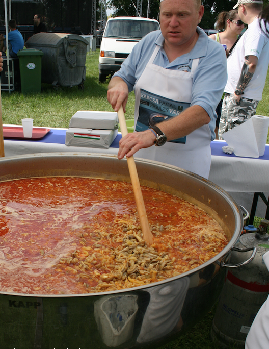 <!--:hu-->Parázs Varázs és harcsapacal<!--:-->