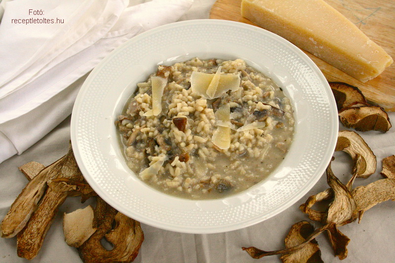 <!--:hu-->Rizottó gombavadász módra<!--:-->