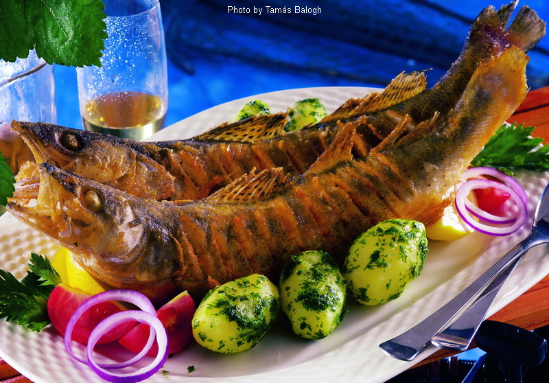 <!--:it-->Luccio al forno – (süllő egészben sütve)<!--:-->