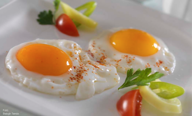 <!--:hu-->Tükörtojás<!--:-->