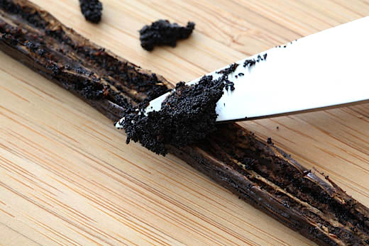 <!--:hu--> Vanília (Vanilla planifolia)<!--:-->