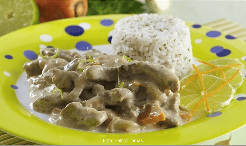 <!--:hu--> Zöldcitromos marhatokány<!--:-->