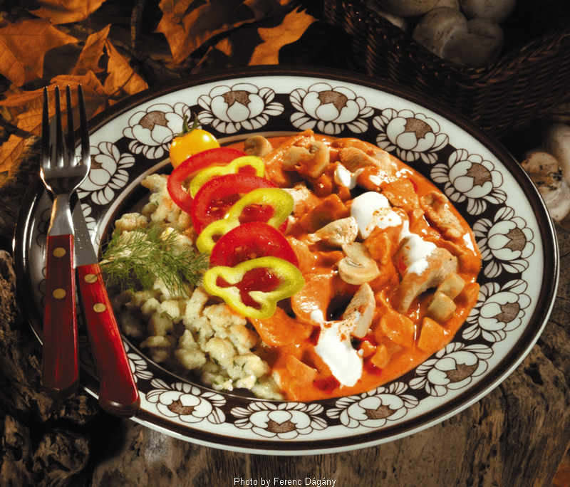 <!--:es--> Ragú de pavo a la Bakony con ñoquis al requesón – (Bakonyi pulykaragu túrós galuskával)<!--:-->