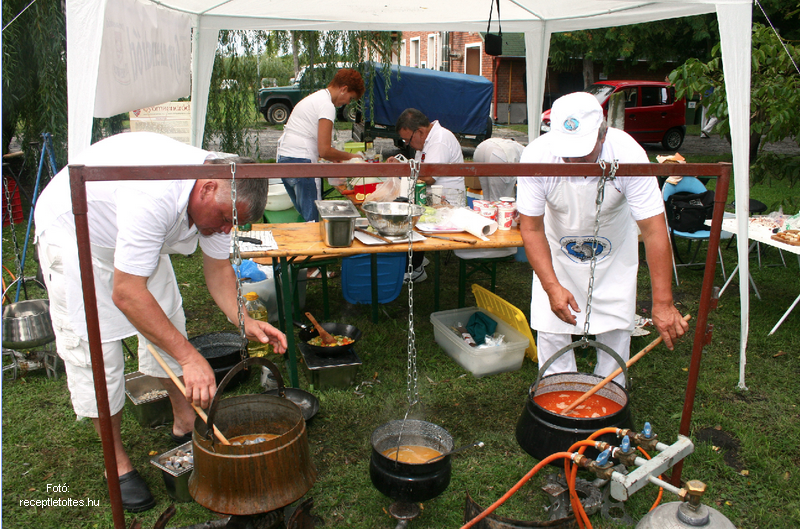 <!--:hu-->Ki az ország legjobb halfőzője?<!--:-->