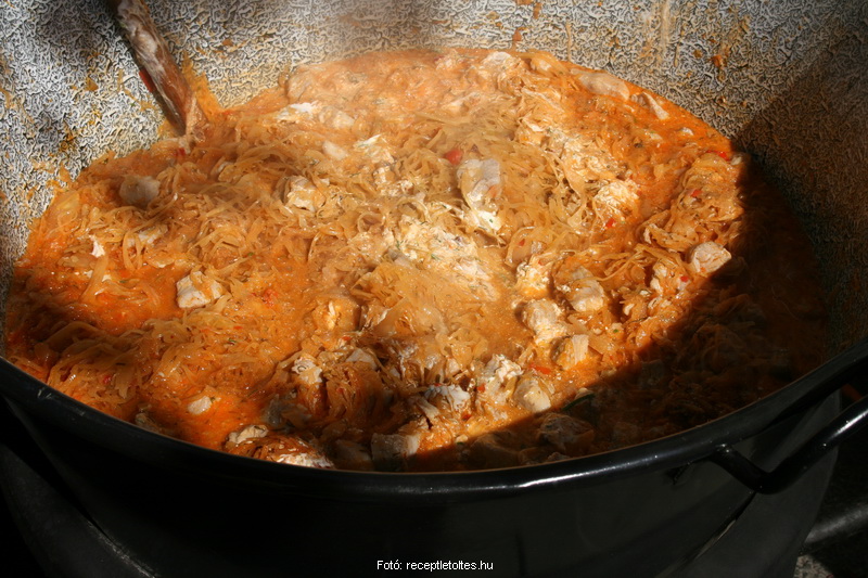 <!--:hu-->Dunai kapros káposztás harcsa – készítette a Natura Halászcsárda csapata, Zakubszki Gábor és Huszár József <!--:-->