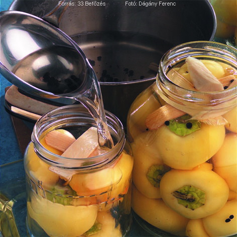 <!--:hu-->Ecetes paprika<!--:-->