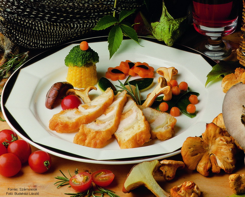 <!--:hu-->Gyöngytyúkmell komáromi módra<!--:-->