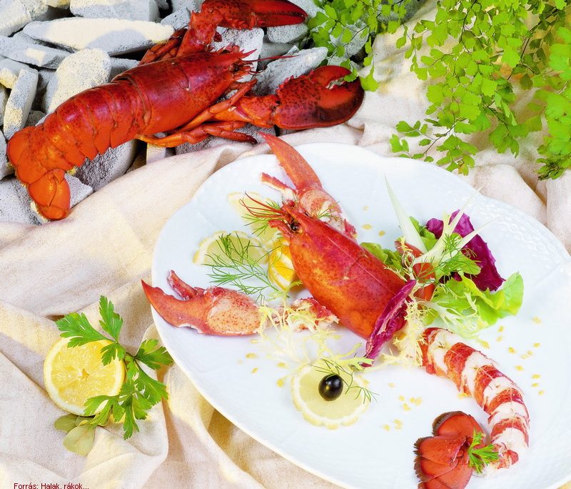 <!--:hu-->Homár elkészítése<!--:-->
