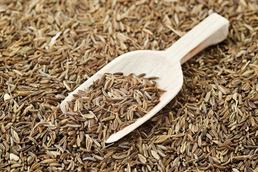 <!--:hu-->Kömény-konyhakömény (Carum carvi) <!--:-->