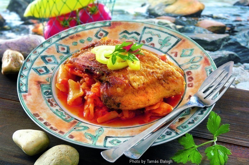 <!--:es--> Carpa con pisto a la húngara – (Lecsós ponty)<!--:-->