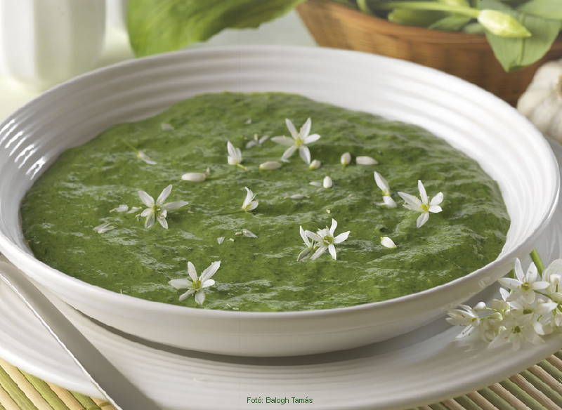 <!--:hu-->Medvehagyma-főzelék<!--:-->