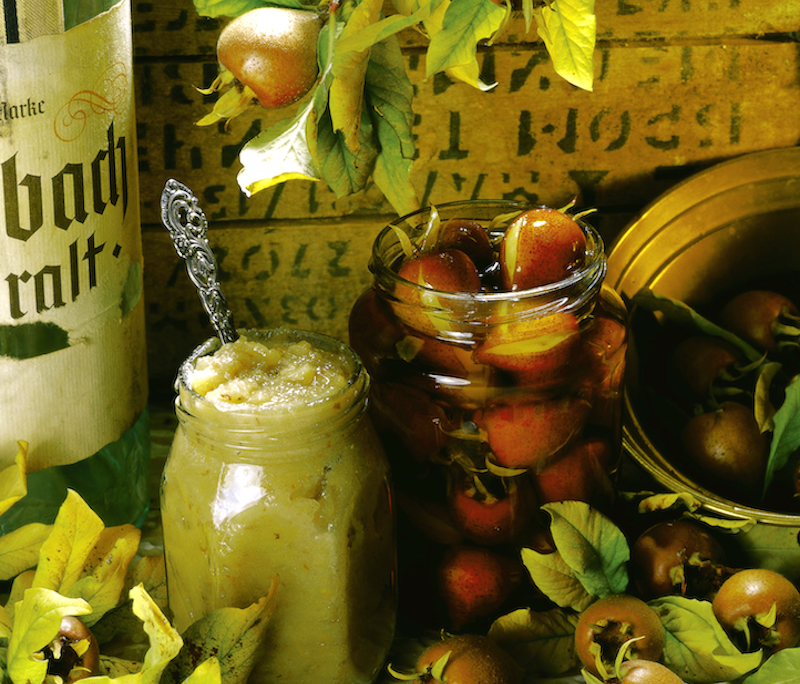 <!--:hu-->Mézes-rumos naspolya – készítette Halmos Mónika<!--:-->