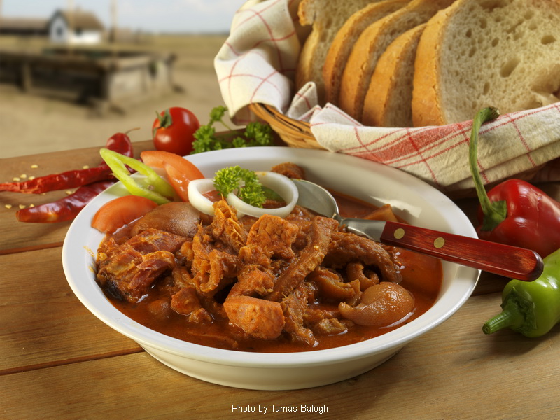 <!--:it-->Spezzatino di trippa – (pacalpörkölt)<!--:-->