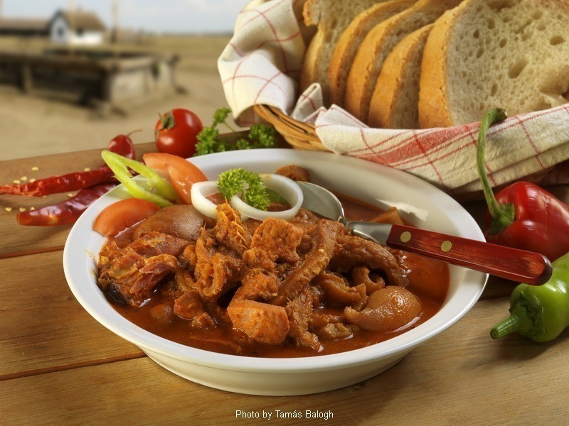 <!--:es--> Guisado de callos – (Pacalpörkölt)<!--:-->