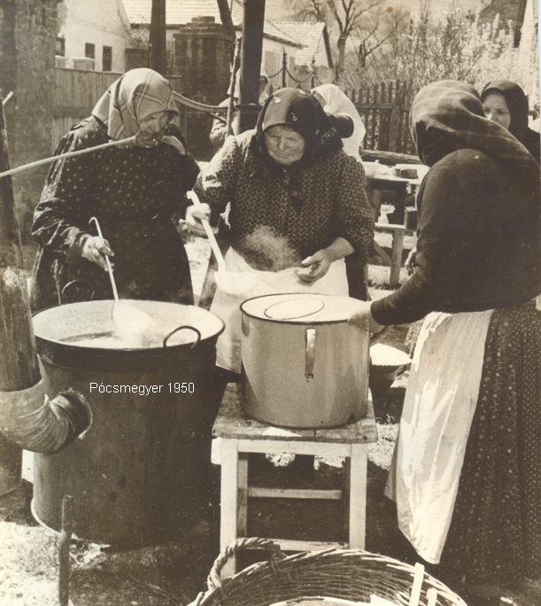 <!--:hu-->Pócsmegyeri kóstoló<!--:-->