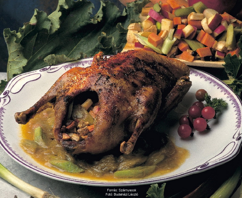 <!--:hu-->Rebarbarával töltött kacsa<!--:-->