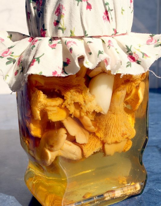 <!--:hu-->Rókagomba vodkában eltéve  –  készítette Csigó János mesterszakács<!--:-->