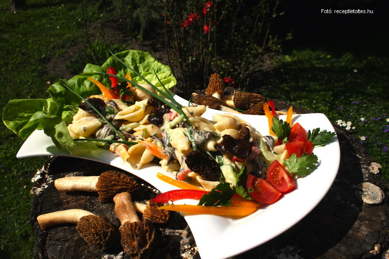 <!--:hu-->Sáfrányos tésztasaláta júdásfüllel és kucsmagombával  –  készítette Csigó János mesterszakács<!--:-->