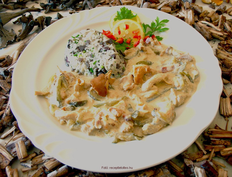 <!--:hu-->Sztroganov (Sztroganof) csirkecsíkok másként  –  készítette Csigó János mesterszakács<!--:-->