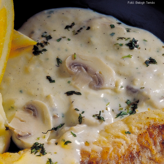 <!--:hu-->Tejszínes gombamártás (meleg)<!--:-->