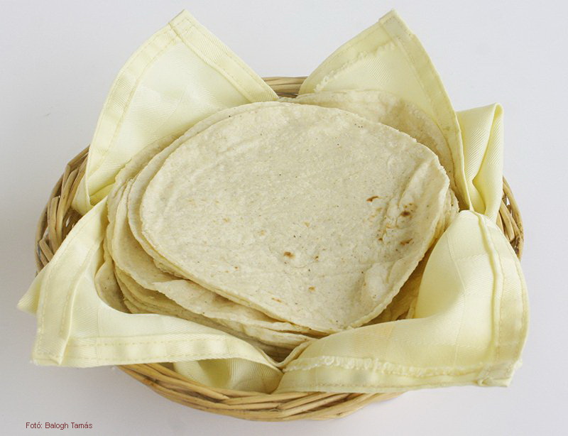 <!--:hu-->Tortilla<!--:-->