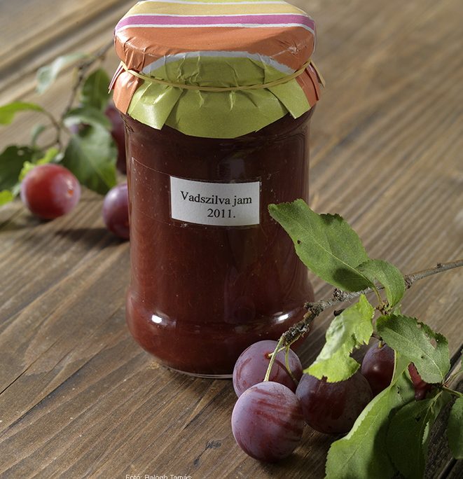 <!--:hu-->Vadszilvadzsem  –  készítette Nemeskövi Dénes mesterszakács<!--:-->