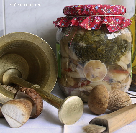 <!--:hu-->Vargányasavanyúság  –  készítette Csigó János mesterszakács<!--:-->