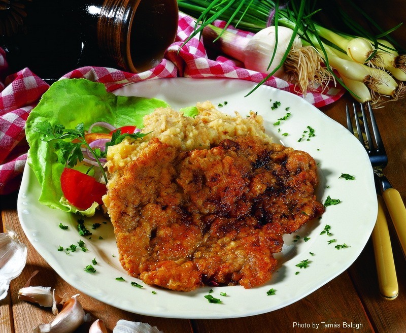 <!--:es--> Asado de Vas – (Vasi pecsenye)<!--:-->